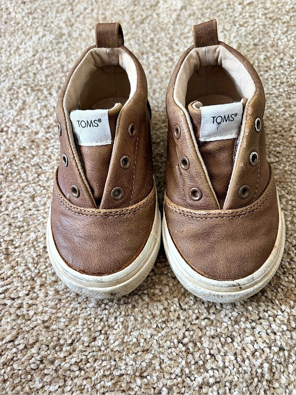 TOMS TRVL Lite Mid Sneaker Brown Sneakers